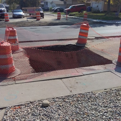 Lion Rooter and Sewer Photo