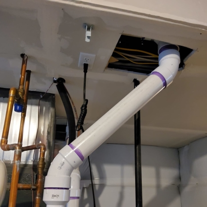 Lion Rooter and Sewer Photo