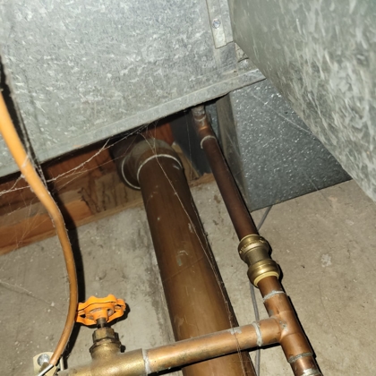 Lion Rooter and Sewer Photo