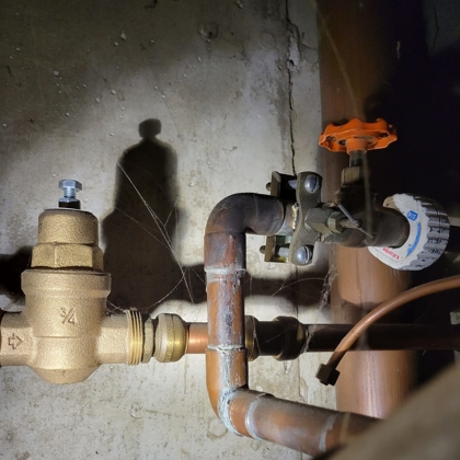 Lion Rooter and Sewer Photo